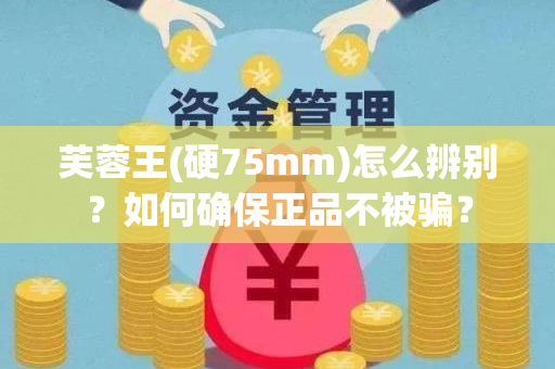 芙蓉王(硬75mm)怎么辨别？如何确保正品不被骗？